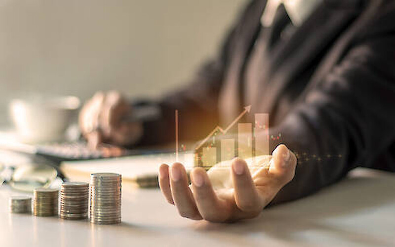 Předběžné výsledky hospodaření k 31.12.2024 společnosti APF DIGITAL AGRIFUND CR s.r.o.