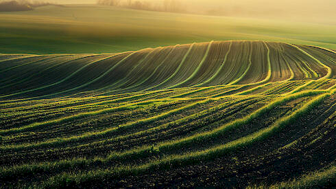 Agricultural land owned by APF GROUP