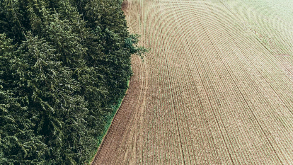 Nákup zemědělských pozemků do majetku skupiny APF GROUP (VERDANT)