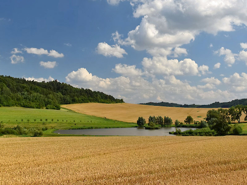 Konečné výsledky hospodaření k 31.12.2023 společnosti APF DIGITAL AGRIFUND CR s.r.o.