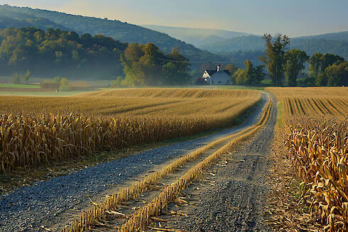 Agricultural land owned by APF GROUP (VERDANT)